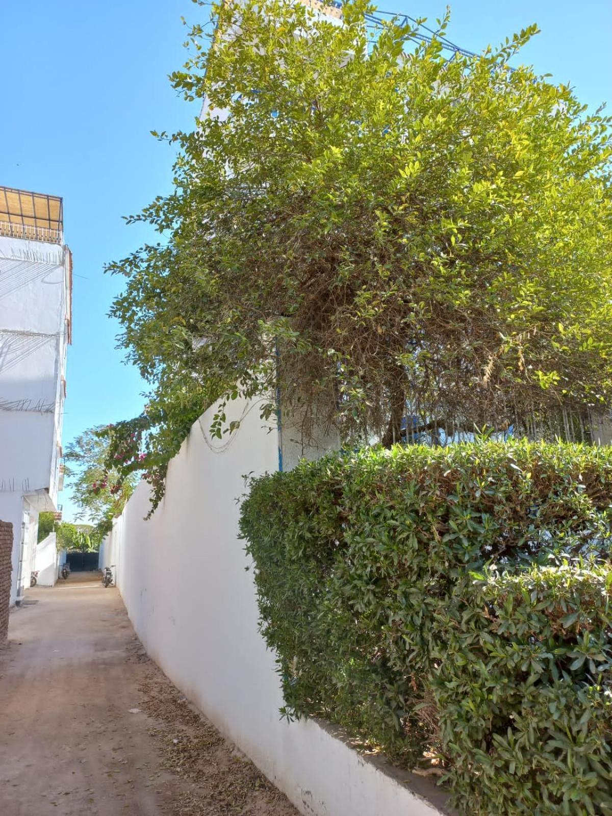Villa Kaslan Apartments Luksor Exterior foto